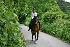 Horse and rider hacking out on a country lane
