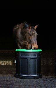 Haygain Forager Slow Feeder for Horses