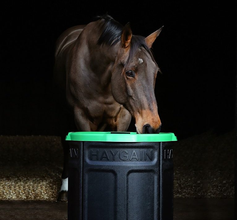 Haygain Forager Slow Feeder for Horses