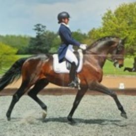 Megan Ingham competing one of her mother’s Dressage horses Beau at Addington Premier League in 2018
