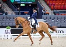 Megan Ingham and Wanadoo competing in Sweden in the Lovsta Future Challenge CDIU25 February 2022