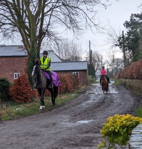horses and riders hacking along a country lane