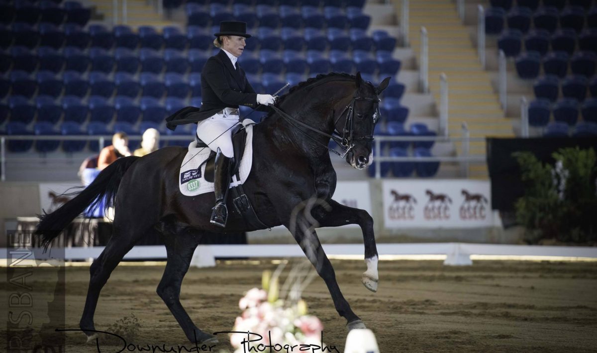 Gina Montgomery and Stedinger. National Small Tour Dressage Champions