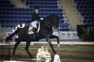 Gina Montgomery and Stedinger. National Small Tour Dressage Champions