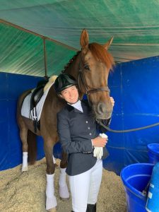 dressage rider and horse