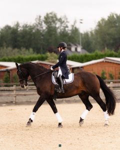 Amy Rogers dressage