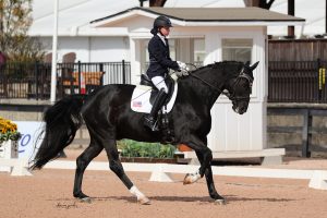 Genevieve Rohner and her horse Solitaer 40
