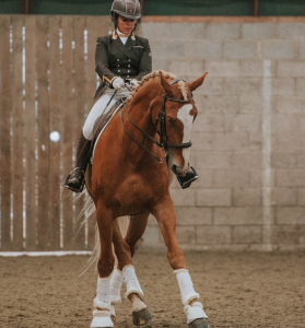 Zara Griffiss dressage rider and Allegro, am 17.3hh Irish Sport Horse