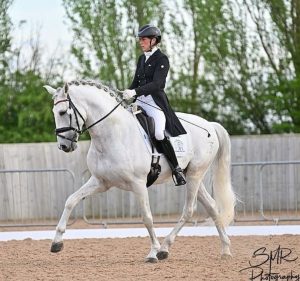 Kirsten Mayne dressage horses training sales