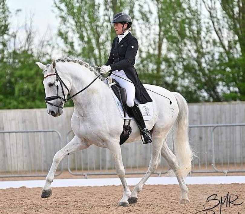 Kirsten Mayne dressage horses training sales